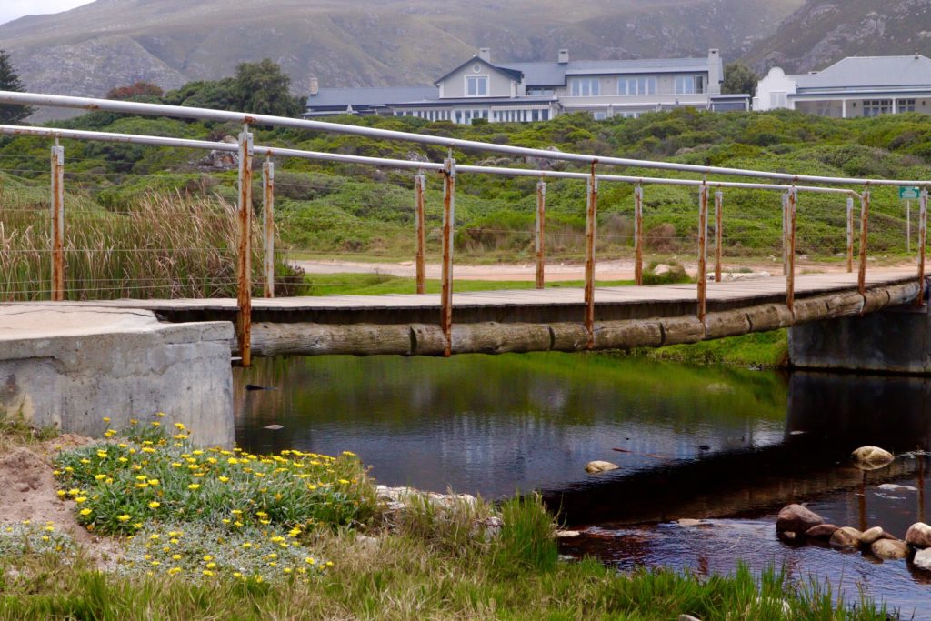 Mossel River